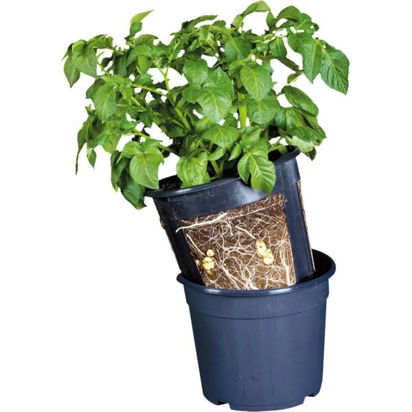 ESSCHERT DESIGN Aardappelpot - PotatoPot - 12 Liter 1 ESSCHERT DESIGN Aardappelpot - PotatoPot - 12 Liter