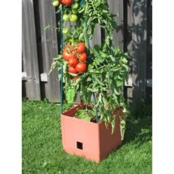 Plantentoren Maxitom Met Waterreservoir - Terracotta 8 Plantentoren Maxitom Met Waterreservoir - Terracotta -Goedkope Tuin Licht Winkel 1677510667 3 600