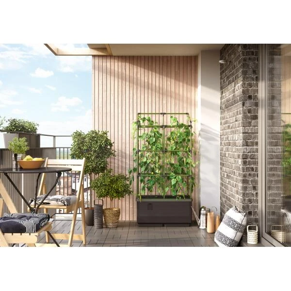 Kweekbak City Jungle Basic Met Klimframe 3 Kweekbak City Jungle Basic Met Klimframe - Afbeelding 3