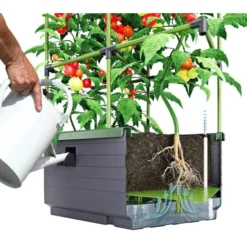 Kweekbak City Jungle Basic Met Klimframe 9 Kweekbak City Jungle Basic Met Klimframe -Goedkope Tuin Licht Winkel 1677572003 2 600