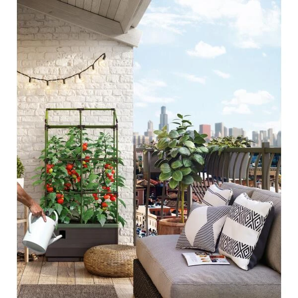 Kweekbak City Jungle Basic Met Klimframe 5 Kweekbak City Jungle Basic Met Klimframe - Afbeelding 5