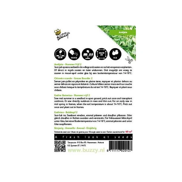 Andijvie Nummer Vijf - Cichorium Endivia 2 Andijvie Nummer Vijf - Cichorium Endivia - Afbeelding 2