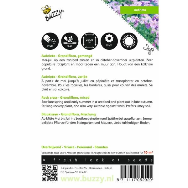 Aubrietia Hybrida (gemengde Kleuren) 2 Aubrietia Hybrida (gemengde Kleuren) - Afbeelding 2