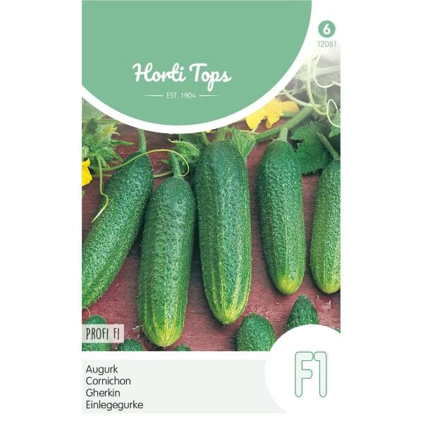 Augurk Profi F1 - Cucumis Sativus 1 Augurk Profi F1 - Cucumis Sativus