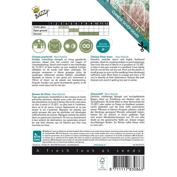 Chinees Prachtriet New Hybrids - Miscanthus Sinensis 2 Chinees Prachtriet New Hybrids - Miscanthus Sinensis - Afbeelding 2