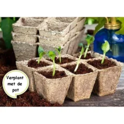 Vezelpotjes Vierkant Biologisch Afbreekbaar - 6 × 6 Cm - Set Van 24 Stuks 5 Vezelpotjes Vierkant Biologisch Afbreekbaar - 6 × 6 Cm - Set Van 24 Stuks -Goedkope Tuin Licht Winkel kokos potjes vierkant 6 cm 1519297688 1 600