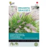 Lampenpoetsersgras - Pennisetum Alopecuroides