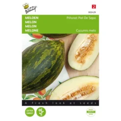 Meloenen Pinonet Piel De Sapo