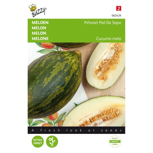 Meloenen Pinonet Piel De Sapo 1 Meloenen Pinonet Piel De Sapo