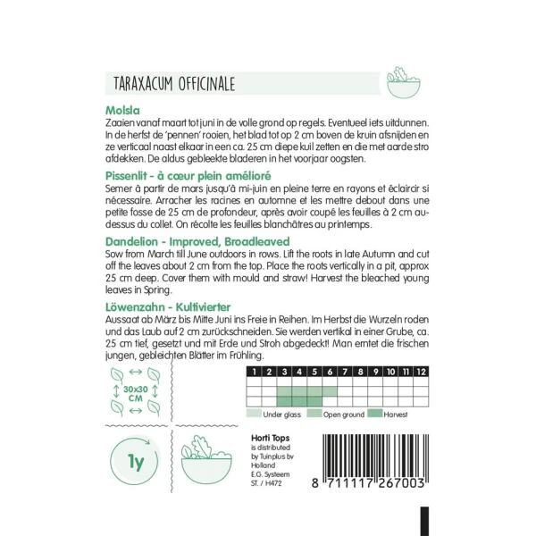 Molsla, Verbeterde Volhart - Taraxacum Dens Leonis 2 Molsla, Verbeterde Volhart - Taraxacum Dens Leonis - Afbeelding 2