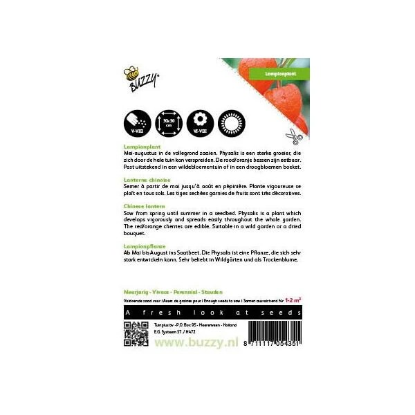 Physalis Alkekengi (oranje Lampionnetjes) 2 Physalis Alkekengi (oranje Lampionnetjes) - Afbeelding 2