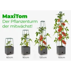 Plantentoren Maxitom Met Waterreservoir - Antraciet 9 Plantentoren Maxitom Met Waterreservoir - Antraciet -Goedkope Tuin Licht Winkel plantentoren maxitom antraciet 1677571236 4 600