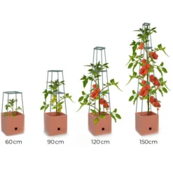 Plantentoren Maxitom Met Waterreservoir - Terracotta 11 Plantentoren Maxitom Met Waterreservoir - Terracotta -Goedkope Tuin Licht Winkel plantentoren maxitom terracotta 1680165024 1 600