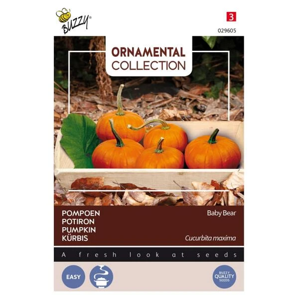 Pompoen Kalebas Baby Bear 1 Pompoen Kalebas Baby Bear