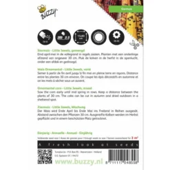 Goedkope Tuin Licht Winkel -Goedkope Tuin Licht Winkel siermais multicolour zea japonica 1646840332 466 600