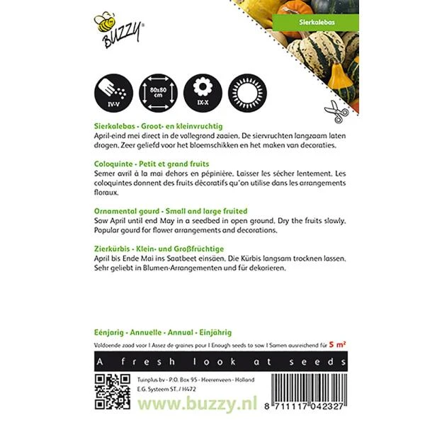 Sierpompoen - Cucurbita Pepo 2 Sierpompoen - Cucurbita Pepo - Afbeelding 2