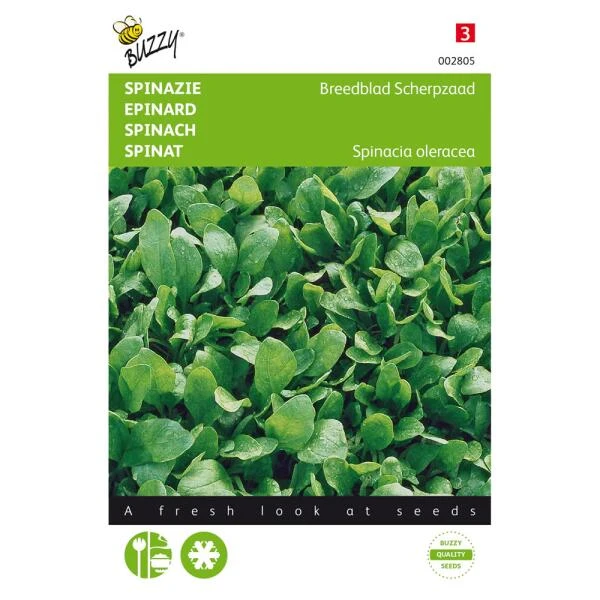 Spinazie Breedblad Scherpzaad 1 Spinazie Breedblad Scherpzaad