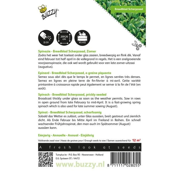 Spinazie Breedblad Scherpzaad 2 Spinazie Breedblad Scherpzaad - Afbeelding 2