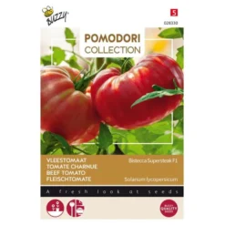 Tomaten Pomodori Bistecca F1 - Lycopersicon Esculentum