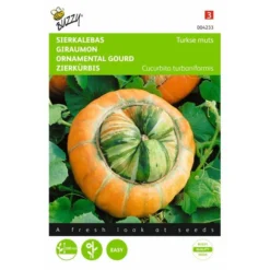 Goedkope Tuin Licht Winkel 6 Turkse Muts - Cucurbita Maxima Turbaniformis