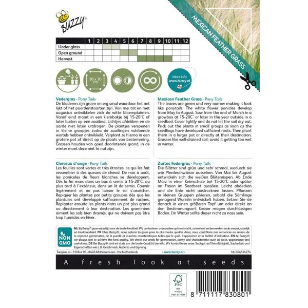Vedergras Pony Tails - Stipa Tenuissima 2 Vedergras Pony Tails - Stipa Tenuissima - Afbeelding 2