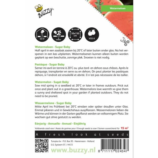 Watermeloen Sugar Baby - Citrullus Lanatus 2 Watermeloen Sugar Baby - Citrullus Lanatus - Afbeelding 2