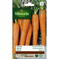 Wortel Verbeterde Nantes 20 G