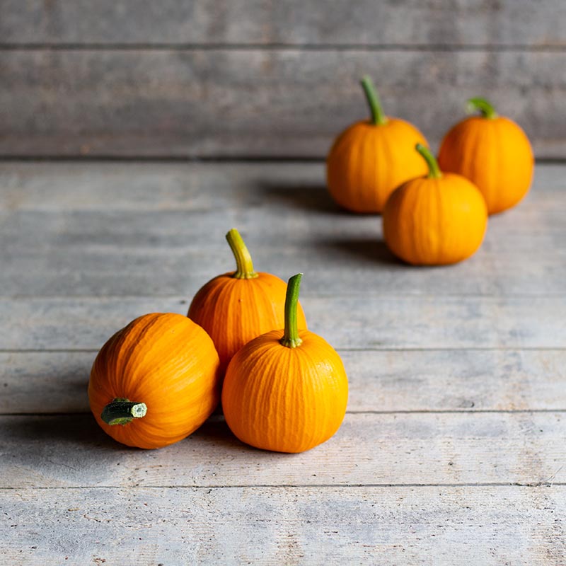 Goedkope Tuin Licht Winkel 31 Goedkope Tuin Licht Winkel -Goedkope Tuin Licht Winkel